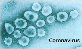 De bronafbeelding bekijken